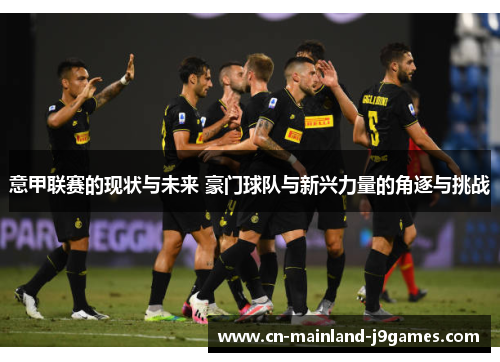 意甲联赛的现状与未来 豪门球队与新兴力量的角逐与挑战 意甲联赛的现状与未来 豪门球队与新兴力量的角逐与挑战