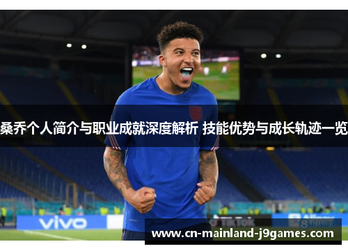 桑乔个人简介与职业成就深度解析 技能优势与成长轨迹一览