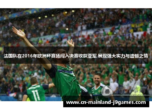 法国队在2016年欧洲杯赛场闯入决赛收获亚军 展现强大实力与遗憾之情
