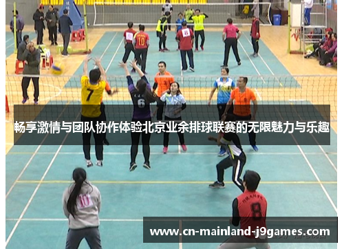 畅享激情与团队协作体验北京业余排球联赛的无限魅力与乐趣