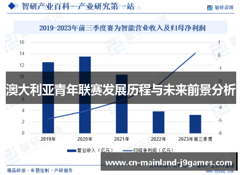 澳大利亚青年联赛发展历程与未来前景分析