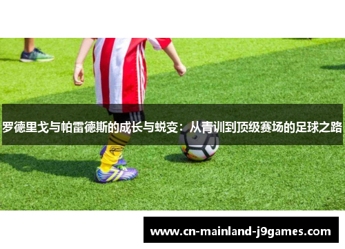 罗德里戈与帕雷德斯的成长与蜕变：从青训到顶级赛场的足球之路